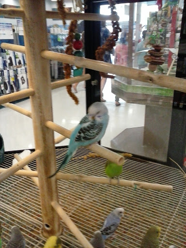 Parrot shops in Charlotte