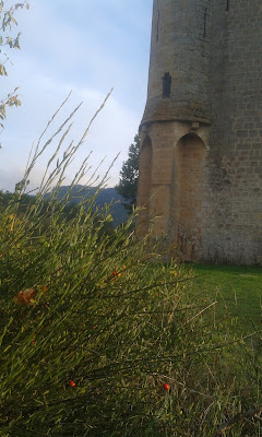 Office National des Forêts (O.N.F.) à Arques