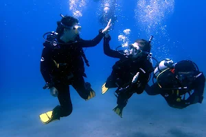 See You Diving Tenerife - Dive & Snorkeling image