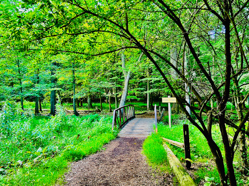 Nature Preserve «Stage Nature Center», reviews and photos, 6685 Coolidge Hwy, Troy, MI 48098, USA