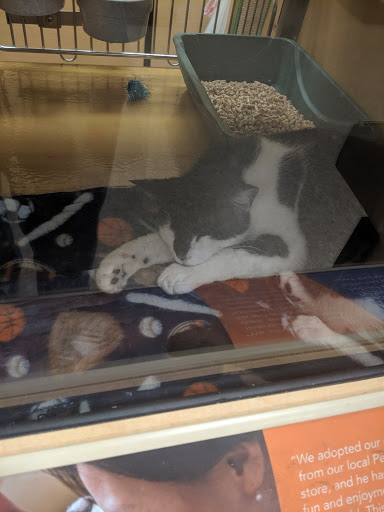 Pet Supply Store «PetSmart», reviews and photos, 14420 Farm to Market 2920, Tomball, TX 77377, USA