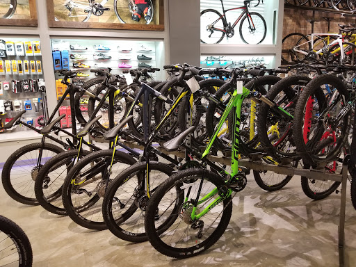 Bicycle Store «Fusion Pro Bike Shop», reviews and photos, 14811 Biscayne Blvd, Miami, FL 33181, USA