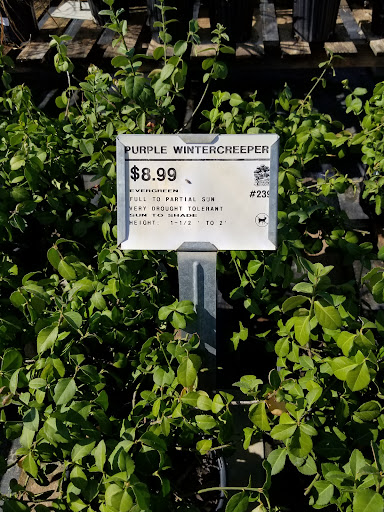 Plant Nursery «Guerin Nursery and Boutique», reviews and photos, 1418 Fall Creek Hwy, Granbury, TX 76049, USA