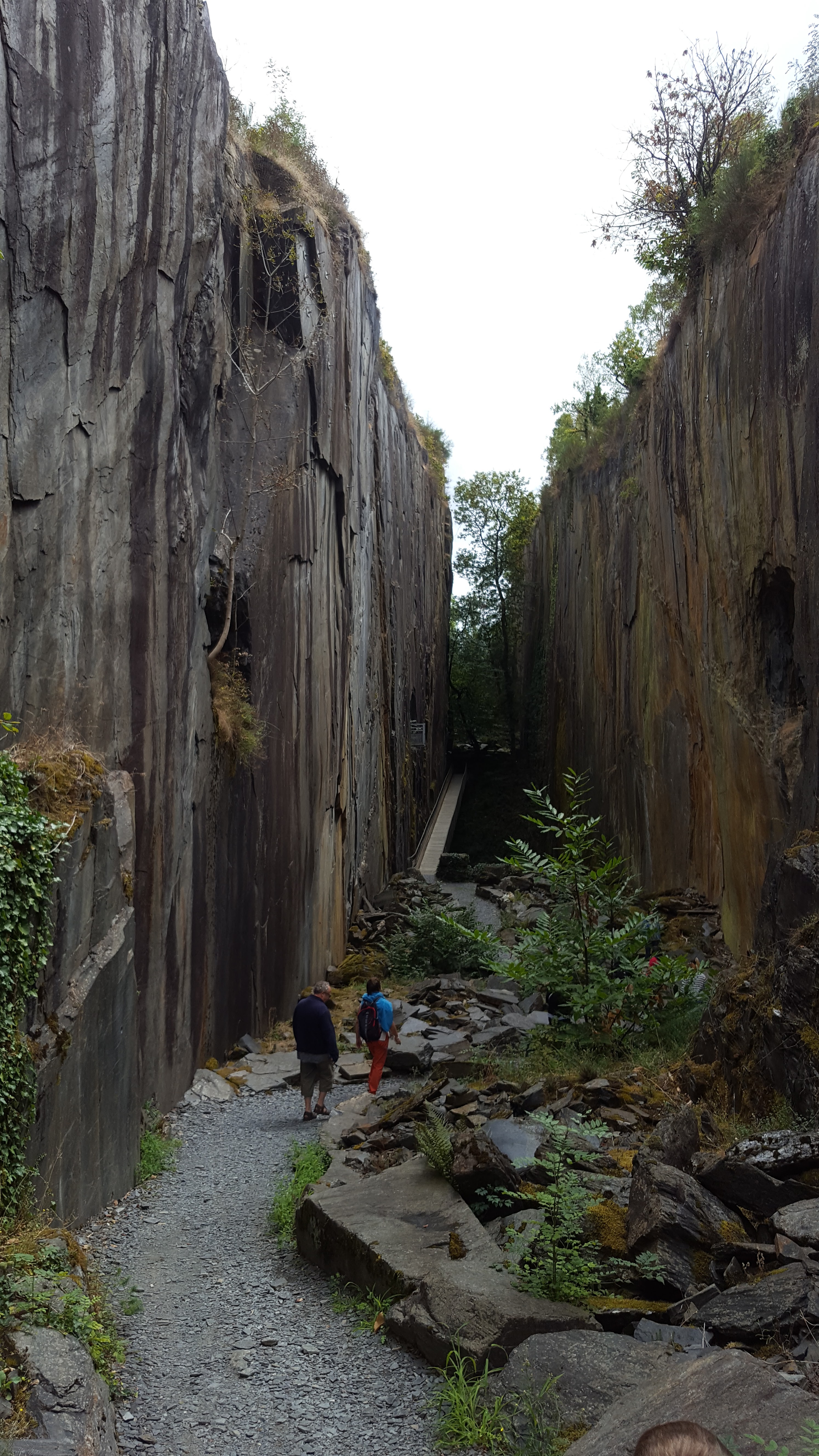 Photo n° 7 de l'avis de Chris.e fait le 01/09/2018 à 19:30