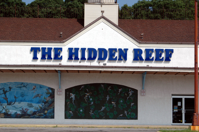 Tropical Fish Store «The Hidden Reef, Inc», reviews and photos, 4501 New Falls Rd, Levittown, PA 19056, USA