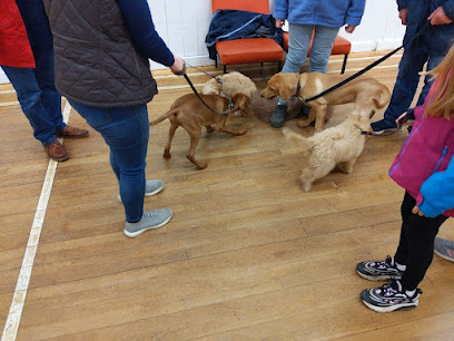 Social Behaviour Dog Training and Puppy Classes