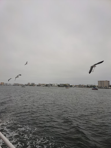 Sightseeing Tour Agency «Southern Star Dolphin Cruises», reviews and photos, 100 Harbor Blvd, Destin, FL 32541, USA