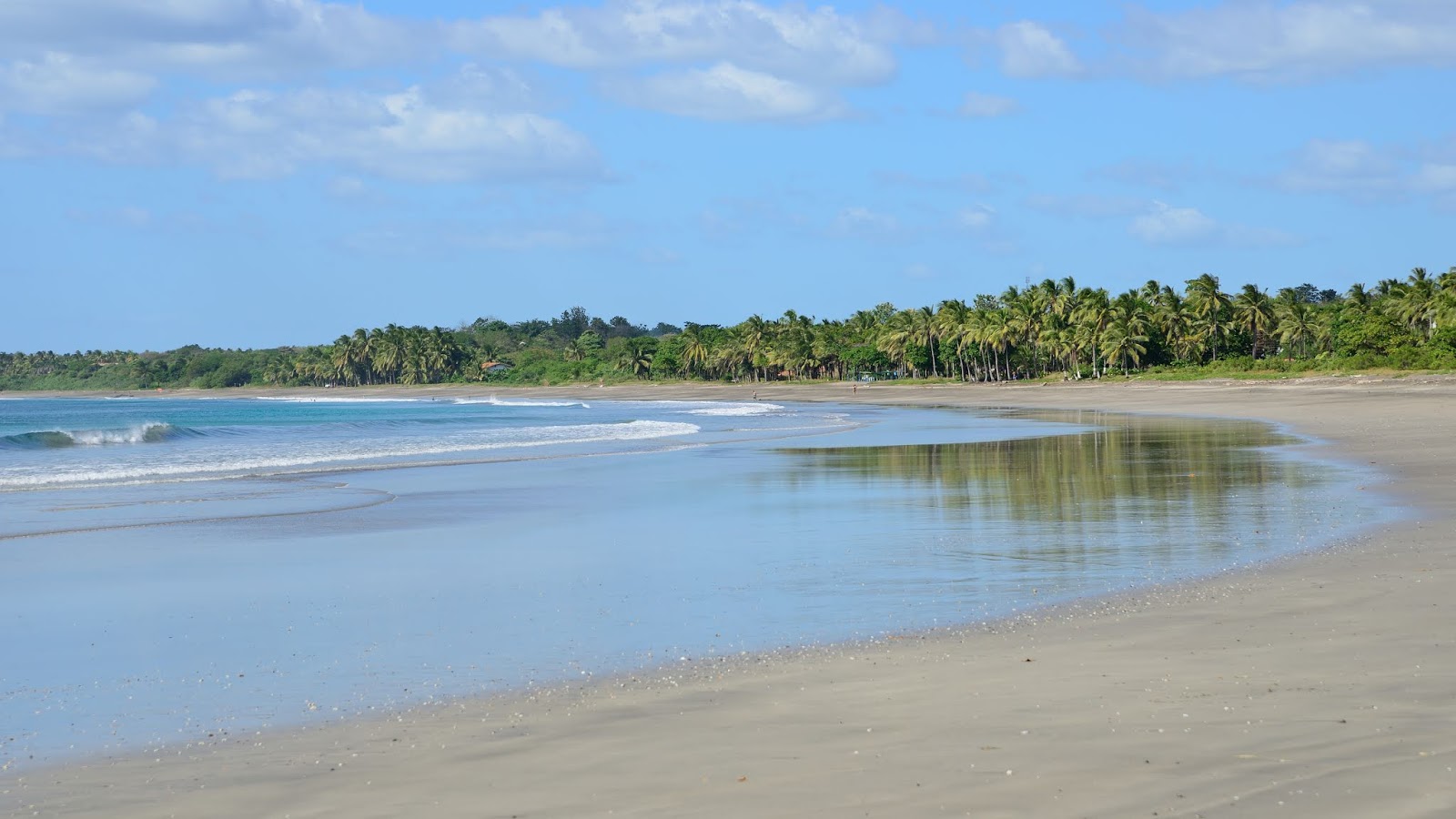 Playa Junquillal'in fotoğrafı vahşi alan