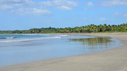 Playa Junquillal'in fotoğrafı vahşi alan