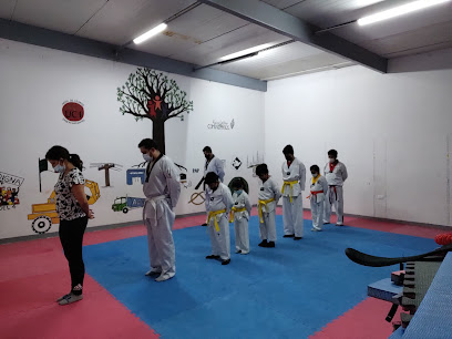 Academia KD Taekwondo Nueva Santa María