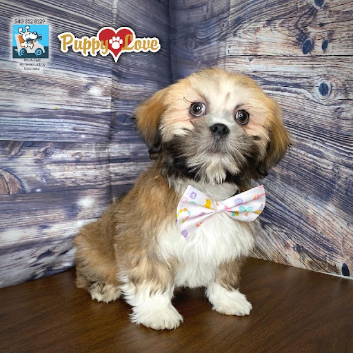 Pet Store «Puppy Love», reviews and photos, 4802 Valley View Blvd NW Uf290, Roanoke, VA 24012, USA
