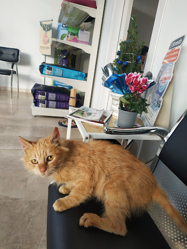 ΚΤΗΝΙΑΤΡΕΙΟ "OI.KO VET"