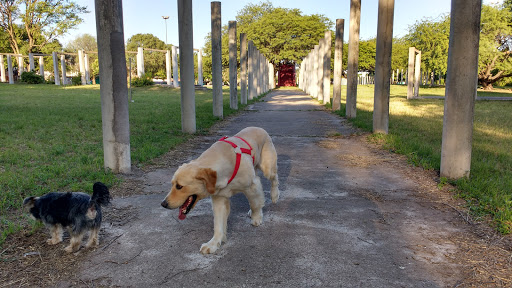 Parque de La Vida