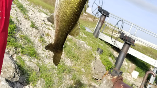 Star Marine Depot, 4450 NW 126th Ave #103, Coral Springs, FL 33065, USA, 