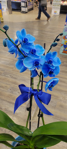 Shopping Mall «Pelton Shopping Center», reviews and photos, 110 Pelton Center Way, San Leandro, CA 94577, USA