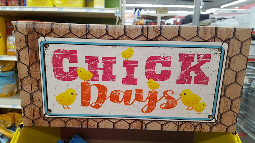 Home Improvement Store «Tractor Supply Co.», reviews and photos, 621 River Rd, Puyallup, WA 98371, USA