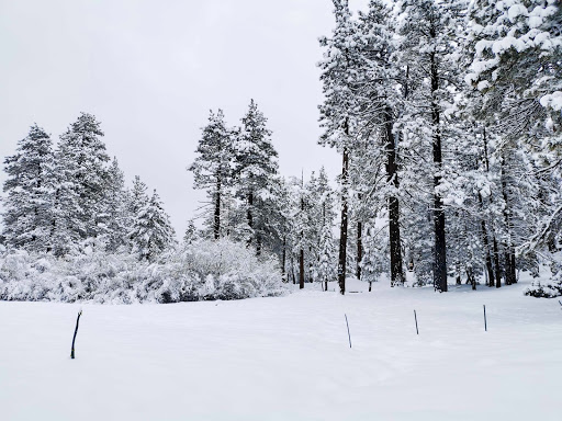 ITH Big Bear Lake Hostel and Retreat Center image