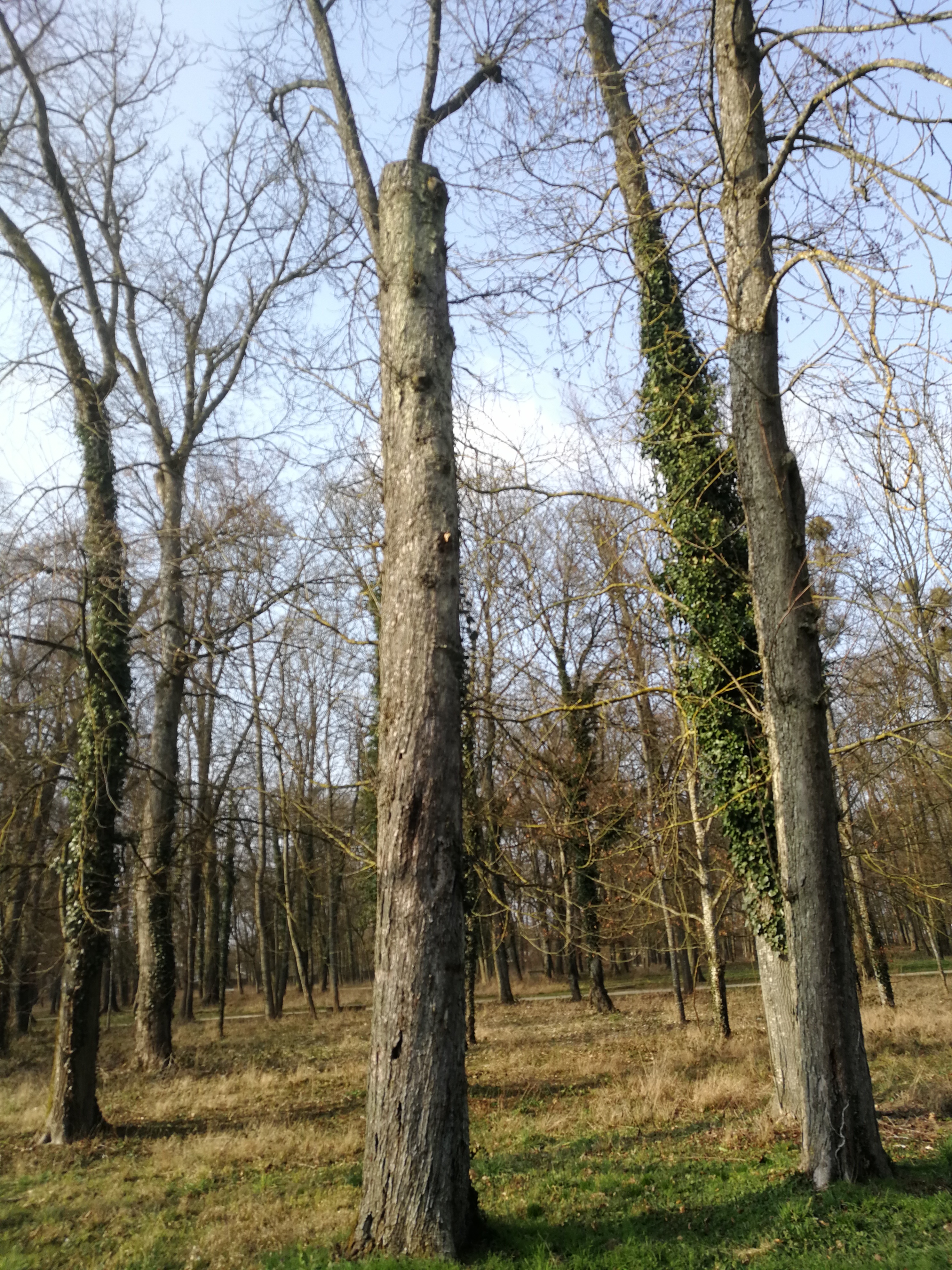 Photo n° 12 de l'avis de Vincent.t fait le 24/02/2018 à 15:49