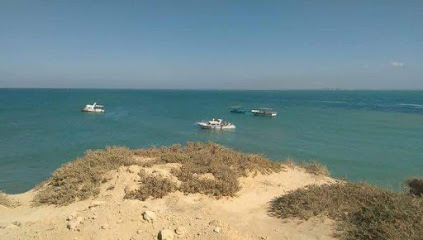 التمساح لبناء السفن