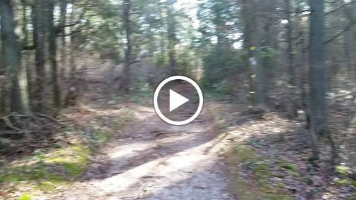 Community Park «Wells Mills County Park», reviews and photos, 905 Wells Mills Rd, Waretown, NJ 08758, USA