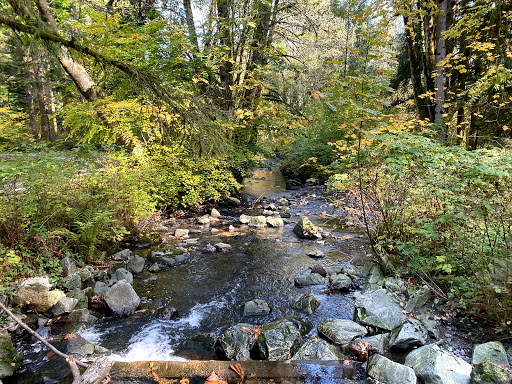 Serpentine Hollow, Surrey, BC V4N 5M1