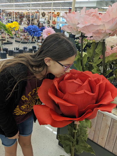 Craft Store «Hobby Lobby», reviews and photos, 8195 S Tamiami Trail, Sarasota, FL 34231, USA