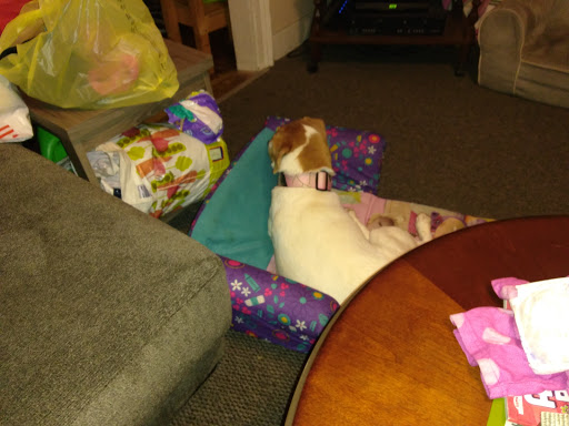 Home Goods Store «Dollar General», reviews and photos, 2649 Main St, Whitney Point, NY 13862, USA