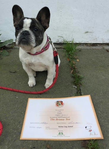 Rixton Dog School Training & Behaviour Centre - Warrington