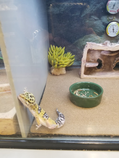 Shopping Mall «Town & Country Shopping Center», reviews and photos, 300 E Stroop Rd, Dayton, OH 45429, USA