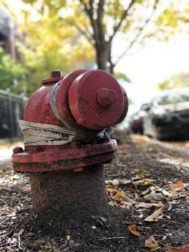 Dog Park «Wiggly Field Dog Friendly Area», reviews and photos, 2645 N Sheffield Ave, Chicago, IL 60614, USA