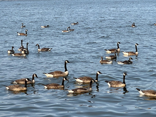 Park «Hopatcong State Park», reviews and photos, 260 Lakeside Blvd, Landing, NJ 07850, USA