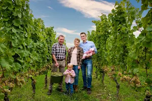 Weingut | Weinhotel OFFENSTEIN ERBEN image