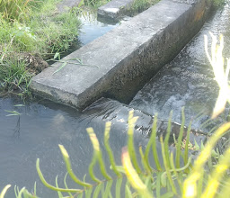 Uma Desa Canggu photo