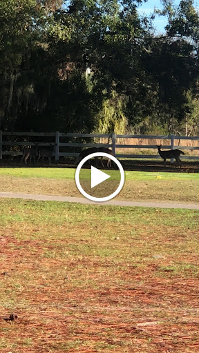 Golf Club «Silver Dollar Golf & Trap Club», reviews and photos, 12711 Silver Dollar Dr, Odessa, FL 33556, USA