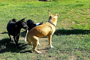 Perkasie Dog Park image