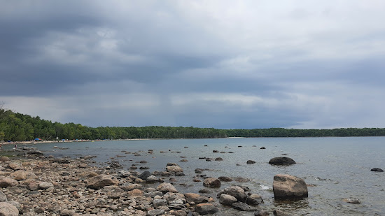 Awenda Pet Beach Area