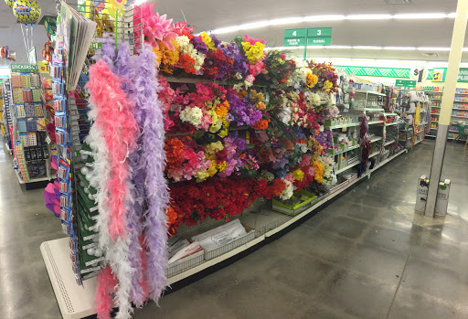 Dollar Store «Dollar Tree», reviews and photos, 3544 Canton Rd, Marietta, GA 30066, USA