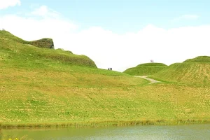 Northumberlandia image