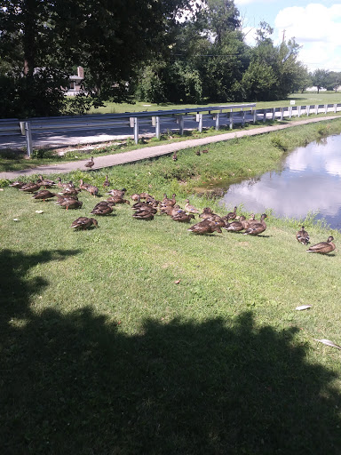 City Park «Krannert Park», reviews and photos, 605 South High School Road, Indianapolis, IN 46241, USA