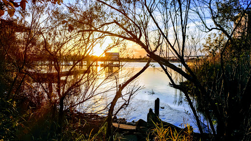 Convention Information Bureau «Wilmington and Beaches Convention and Visitors Bureau», reviews and photos, 505 Nutt St, Wilmington, NC 28401, USA