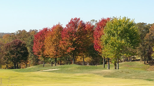 Golf Course «Annbriar Golf Course», reviews and photos, 1524 Birdie Ln, Waterloo, IL 62298, USA