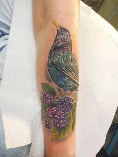 Tattoo Shop «Black Star Tattoo», reviews and photos, 533 Broad Ave, Belle Vernon, PA 15012, USA