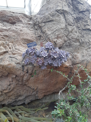 Library «National Gallery of Art Library», reviews and photos, 4th St NW, Washington, DC 20565, USA