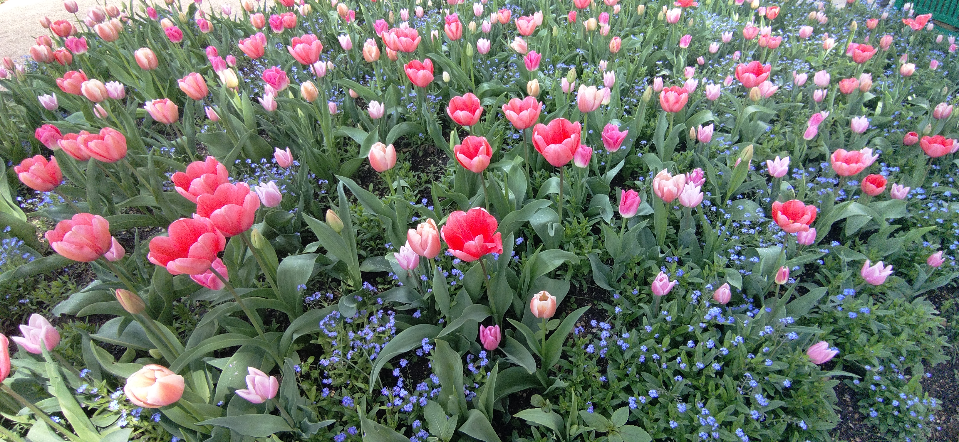 Photo n° 6 de l'avis de PHILIPPOT.a fait le 16/04/2023 à 17:54