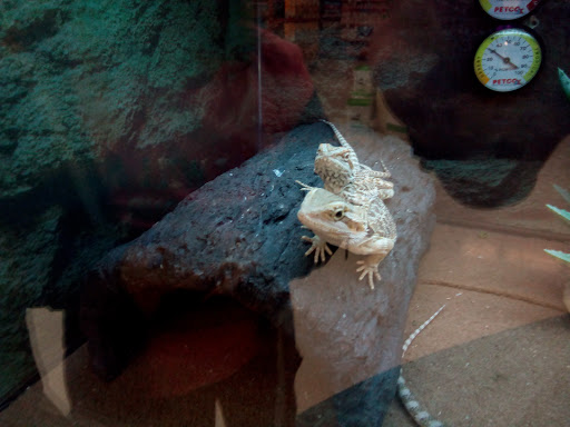 Pet Supply Store «Petco Animal Supplies», reviews and photos, 1333 Centennial Ave, Piscataway Township, NJ 08854, USA