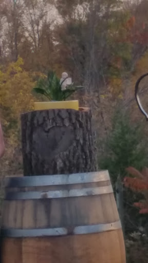 Winery «Winehaven Winery», reviews and photos, 10020 Deer Garden Ln, Chisago City, MN 55013, USA