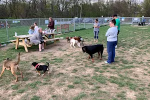 West Mifflin Dog Park image