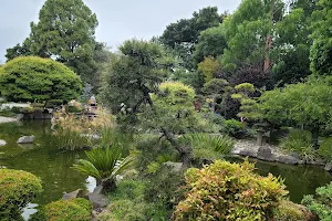 San Mateo Japanese Garden image