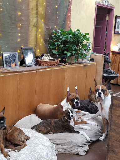 Pet Supply Store «Natural Pet NW», reviews and photos, 212 NE 164th Ave #8, Vancouver, WA 98684, USA