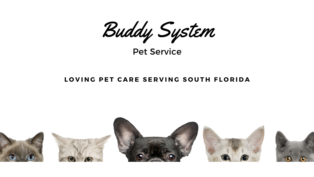 Buddy System Pet Service